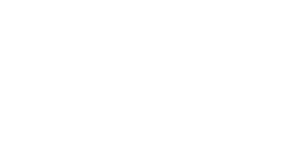 Logo-SDT-wit